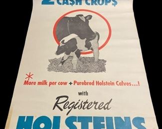 Cobleskill College Posters