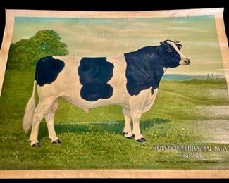 Edwin Megargee 1922 Holstein Friesian Cow 
