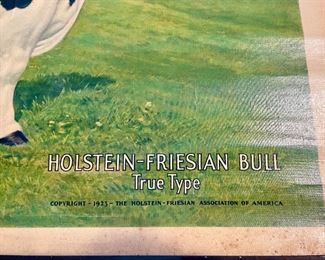 Edwin Megargee 1922 Holstein Friesian Cow 