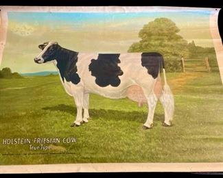 Edwin Megargee 1922 Holstein Friesian Cow 
