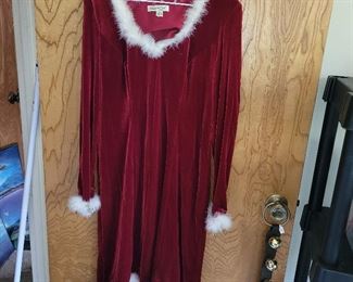Coldwater Creek Christmas Dress
