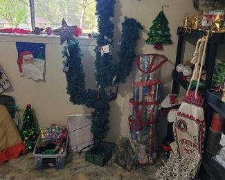 Who doesn't need a Christmas Cactus???