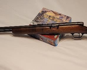 Savage 22 Long Semi Automatic - Only gun in sale. Kept off site.