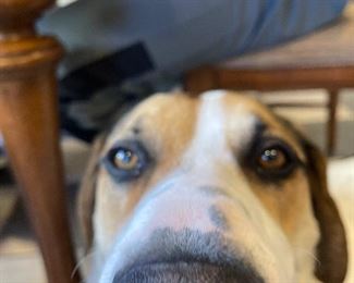 Big nose …. Modeling only