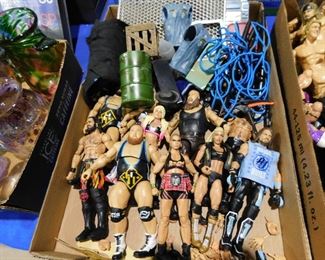 Wrestling action figures