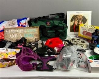 Medium Size Dog Finds