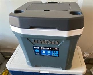 Ice Chest-Igloo and Coleman