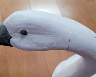 close-up detail of swan