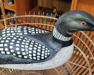 Common Loon, 21" long