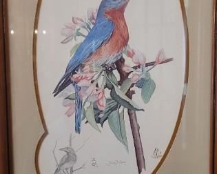 #8 Blue Bird by Jim Wilson #498/750