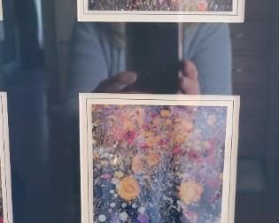 #31 Art with eight photos of flowers