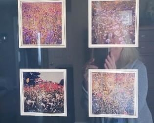 #31 Art with eight photos of flowers, artist unknown