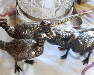  Silver Pheasants