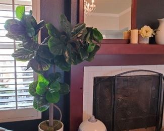 Mirror- 31x26
Plant with stand 65 inches