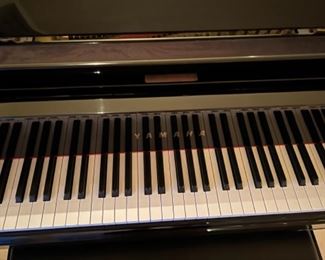 This item is available for PRESALE.  Please text photo to 760-668-0554 to purchase.  We accept Zelle ONLY for presales