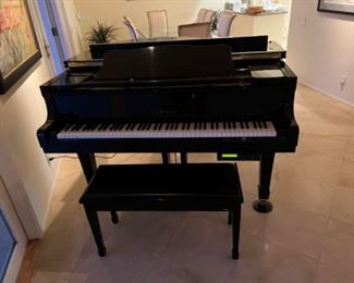 This item is available for PRESALE.  Please text photo to 760-668-0554 to purchase.  We accept Zelle ONLY for presales