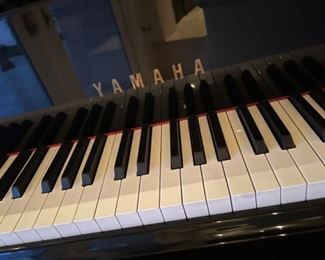 This item is available for PRESALE.  Please text photo to 760-668-0554 to purchase.  We accept Zelle ONLY for presales