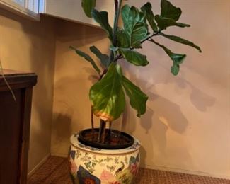 This item is available for PRESALE.  Please text photo to 760-668-0554 to purchase.  We accept Zelle ONLY for presales