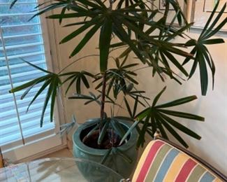 This item is available for PRESALE.  Please text photo to 760-668-0554 to purchase.  We accept Zelle ONLY for presales