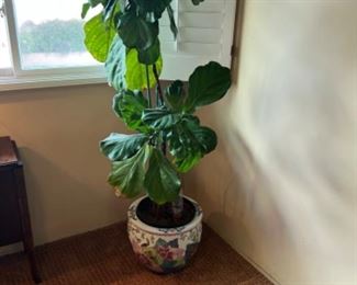 This item is available for PRESALE.  Please text photo to 760-668-0554 to purchase.  We accept Zelle ONLY for presales