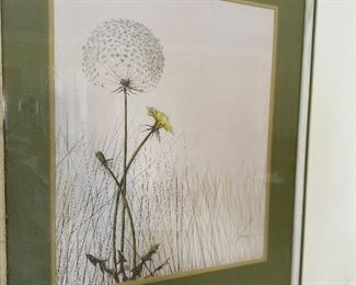 Lovely Dandelion Art 
Artist Signed Burger
