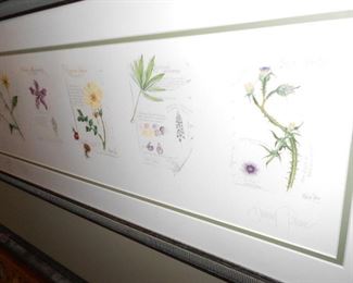 Hillary Parker; Prize winning botanical watercolor artist. Collection in Kew Garden, London