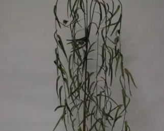 Made in Italy Tree Sculpture 