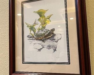 Numbered Print of red eared slider turtle