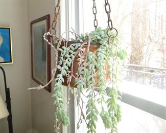 Antique Copper hanging bucket with plant
