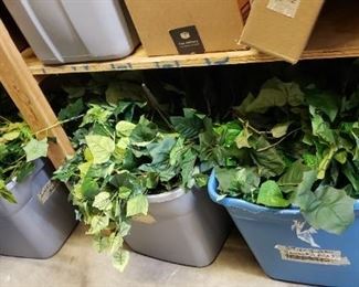 Ivy and other greenery