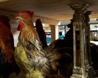 faux roosters, 4
