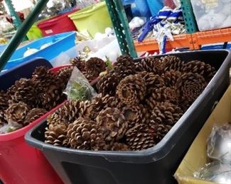 Tubs of pinecones