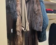 Furs to take up North with you!