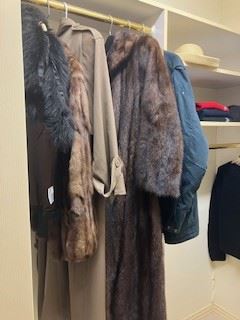 Furs to take up North with you!