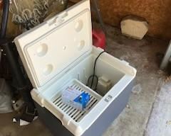 Cooler with Plug in Feature - 