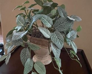 Greenery in planter, 15W x 10"H,  $14