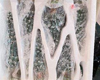 Additional view of 6 evergreen trees