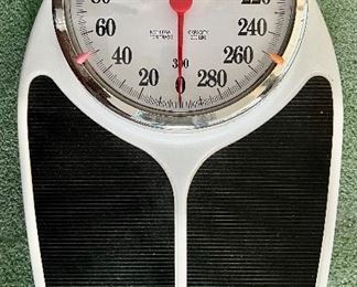 Health o Meter Scale