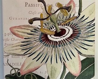 "Passion Flower" on Stretched Canvas