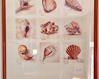 "Shells" Print by Ellis