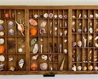 Printers Drawer Display Case