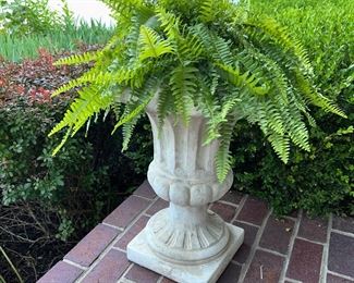 One of two planters with live fern