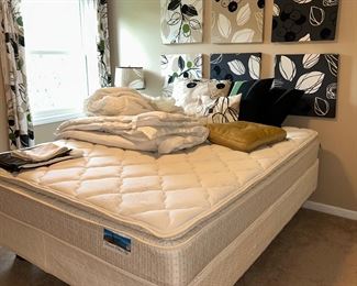 Pristine Mattress (Queen)