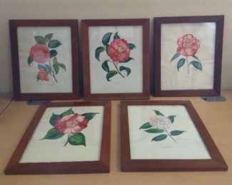 5 Watercolor Roses