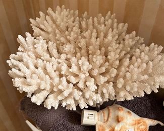 Second Floor Bathroom 
Beautiful Coral