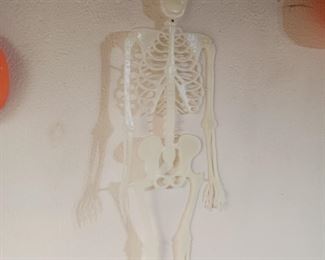 Glow in the dark Halloween skeleton