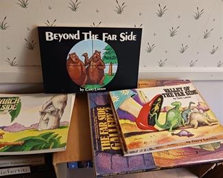 Far Side books