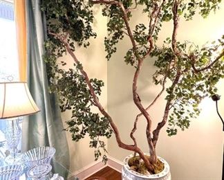 Chinese wood and porcelain garden bench; Chinese fish bowl on stand with beautiful silk tree
