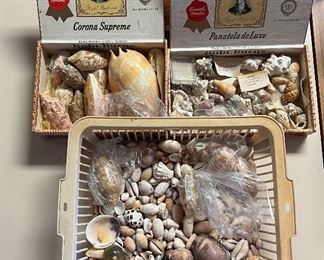 SJP007- Boxes Of Shells