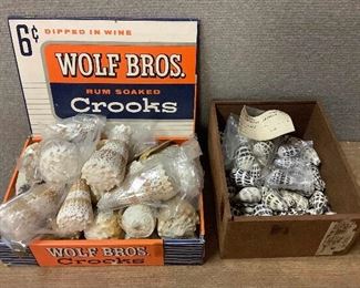 SJP011 Two Boxes Of Conical Shells